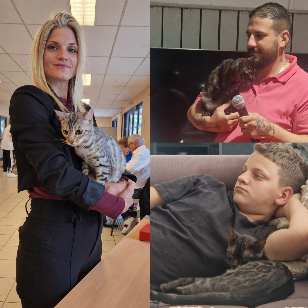 Famille de la Chatterie du Diamant Sauvage avec leurs Bengals