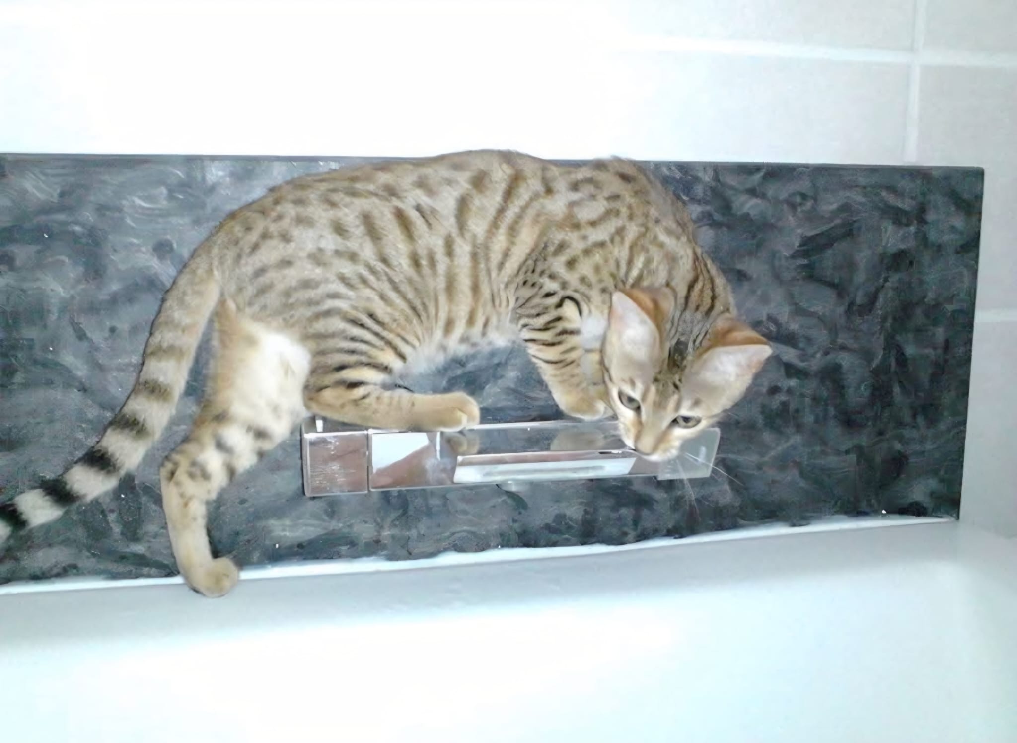 Souvenir de Kiara