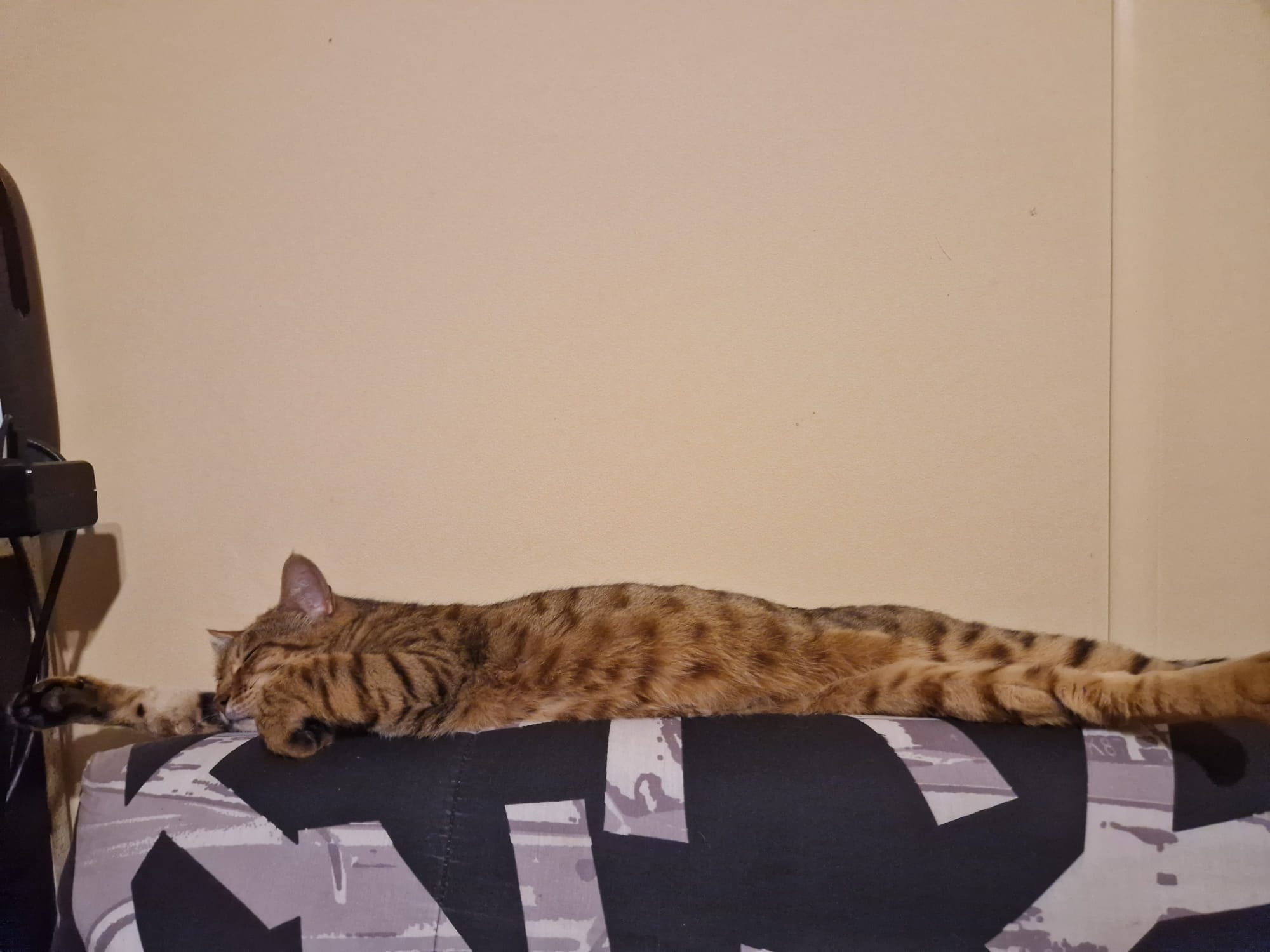 Souvenir de Kiara