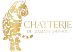 Diamant Sauvage